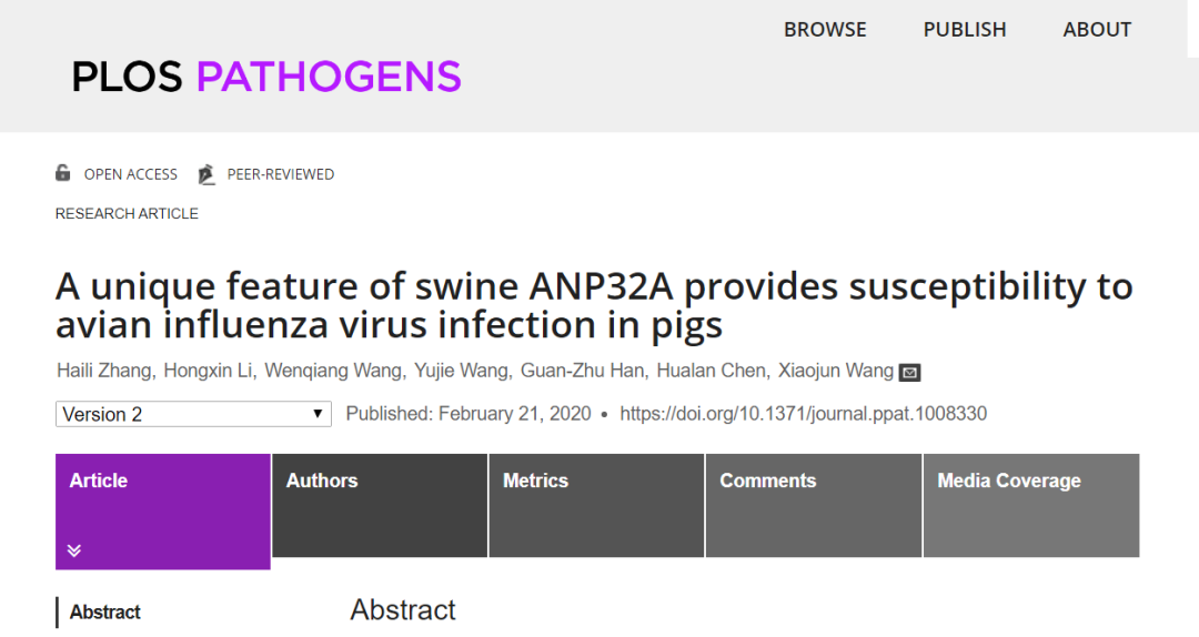 哈兽研王晓钧团队在猪作为流感病毒“混合器”的分子机制研究中取得重要进展