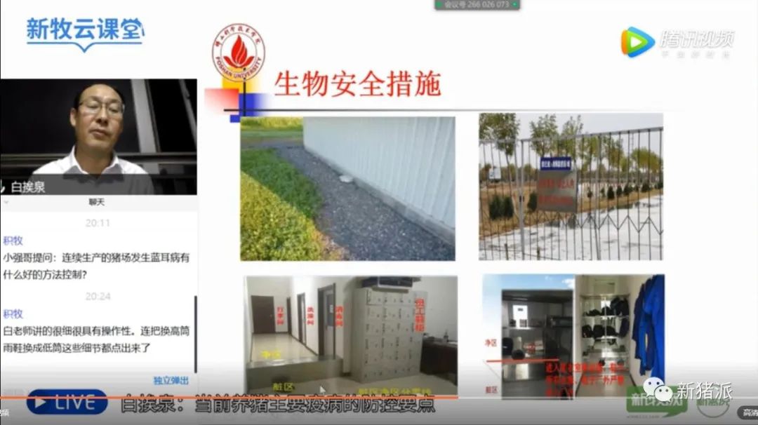 川、豫连发3例！白挨泉：非洲猪瘟已出现非典型临床病理变化