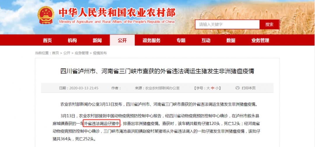 四川、河南两养猪大省各一例，“狂欢”中该有冷静！