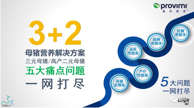 母猪繁殖性能提高20%？嘉吉3+2母猪营养解决方案够“硬核”！
