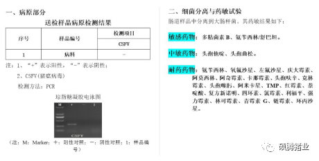 猪场出现严重腹泻，除考虑病毒、细菌因素外，也可能是寄生虫惹的祸！