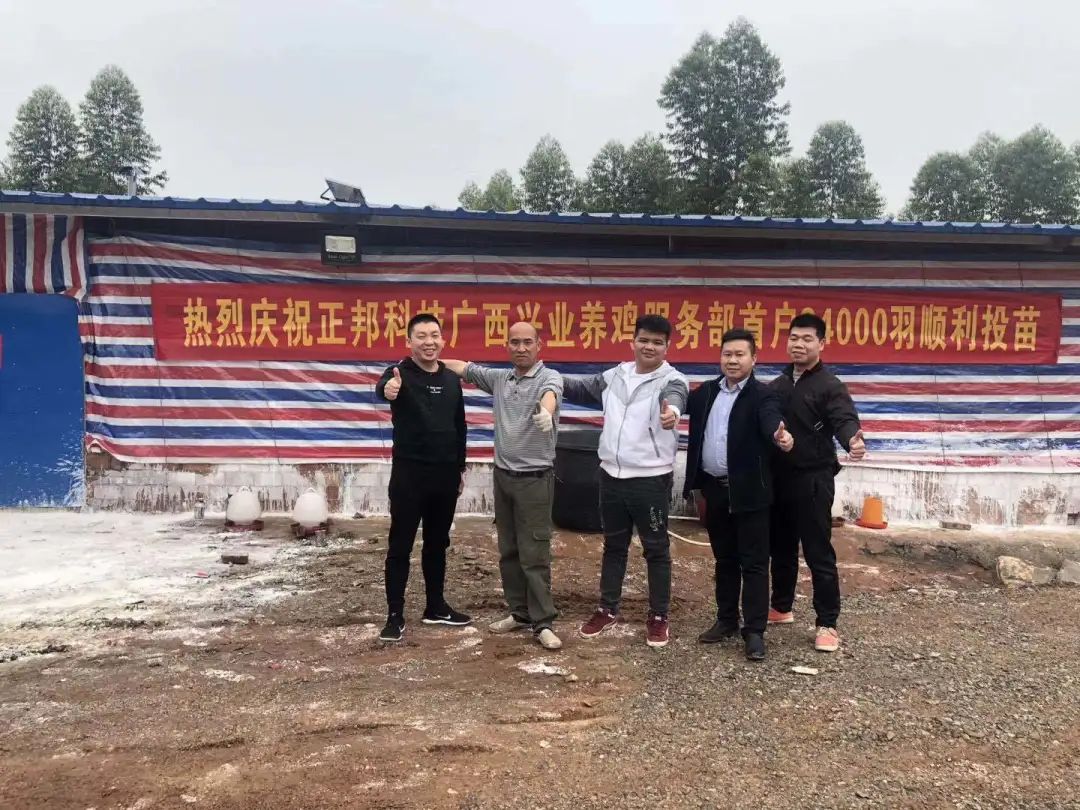 起点高发展快——正邦农牧肉鸡养殖项目深受养殖户欢迎！