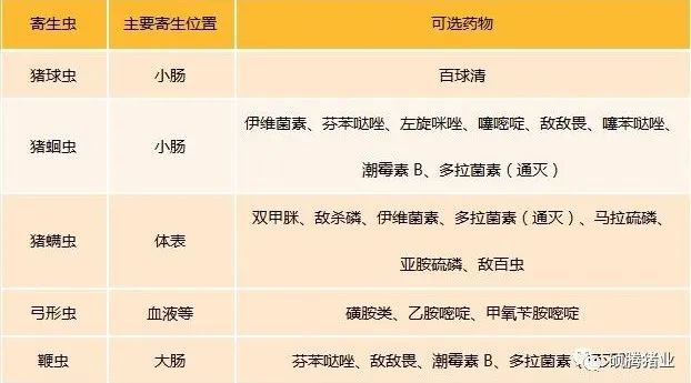三月不驱虫，老板悔当初！看过来，猪主要寄生虫的科学防治