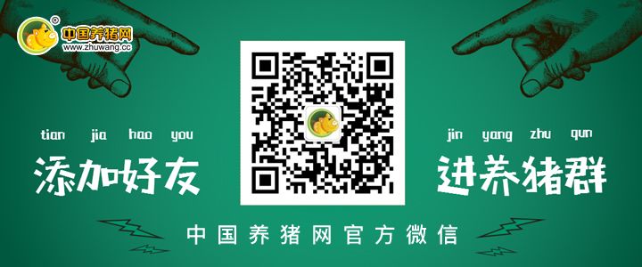 苏南多地将重振养猪业 大力推广“太湖猪”养殖