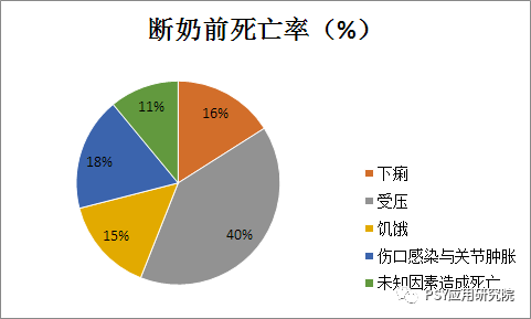 母猪奶水不足，危害远超你的预期！还不重视？