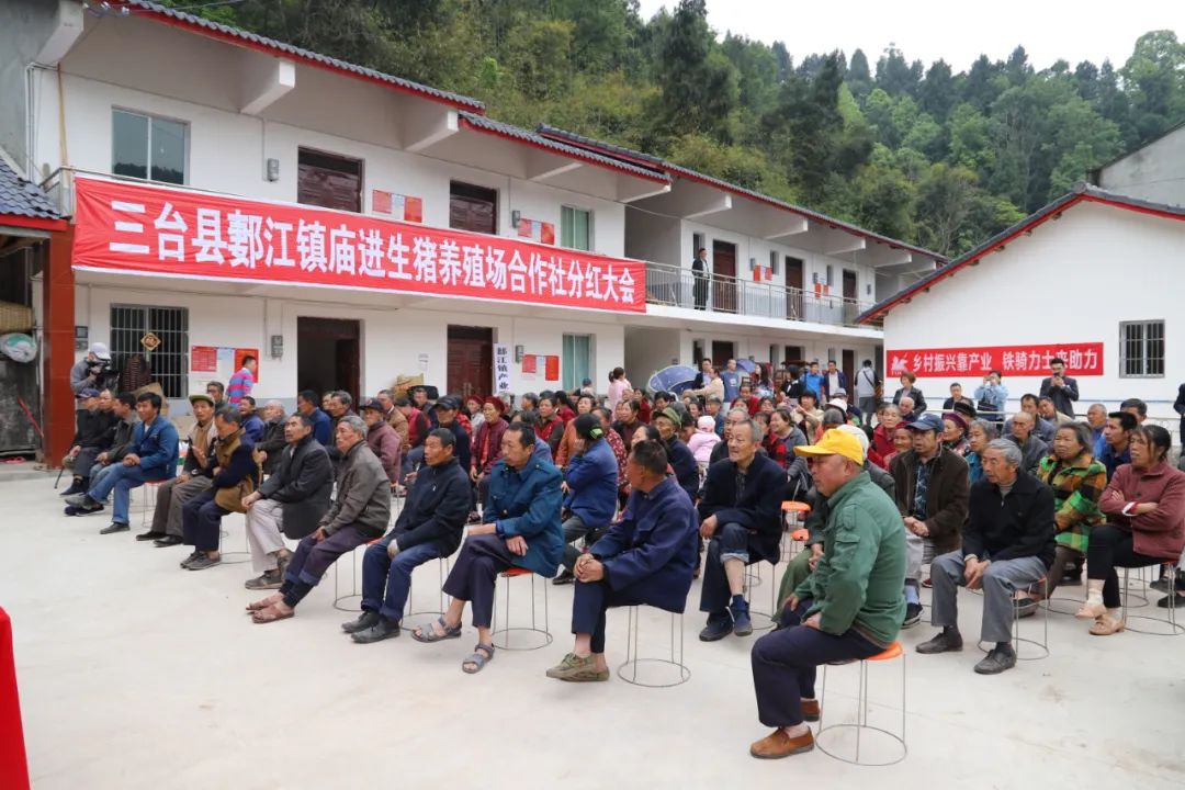 这家生猪养殖合作社喜获分红，每户1.22万！