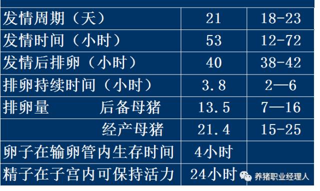 批次生产中空怀母猪催情程序有哪些？