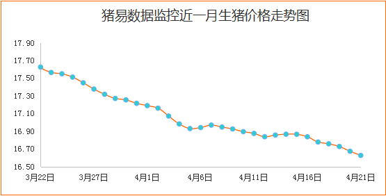 北方猪市冲击南方，消费市场肉价再度走低？