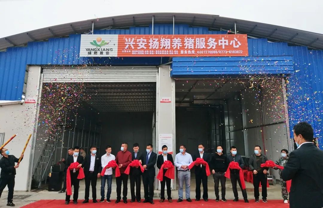 猪场“防火墙”，它来帮您造！ 扬翔首家养猪服务中心开张