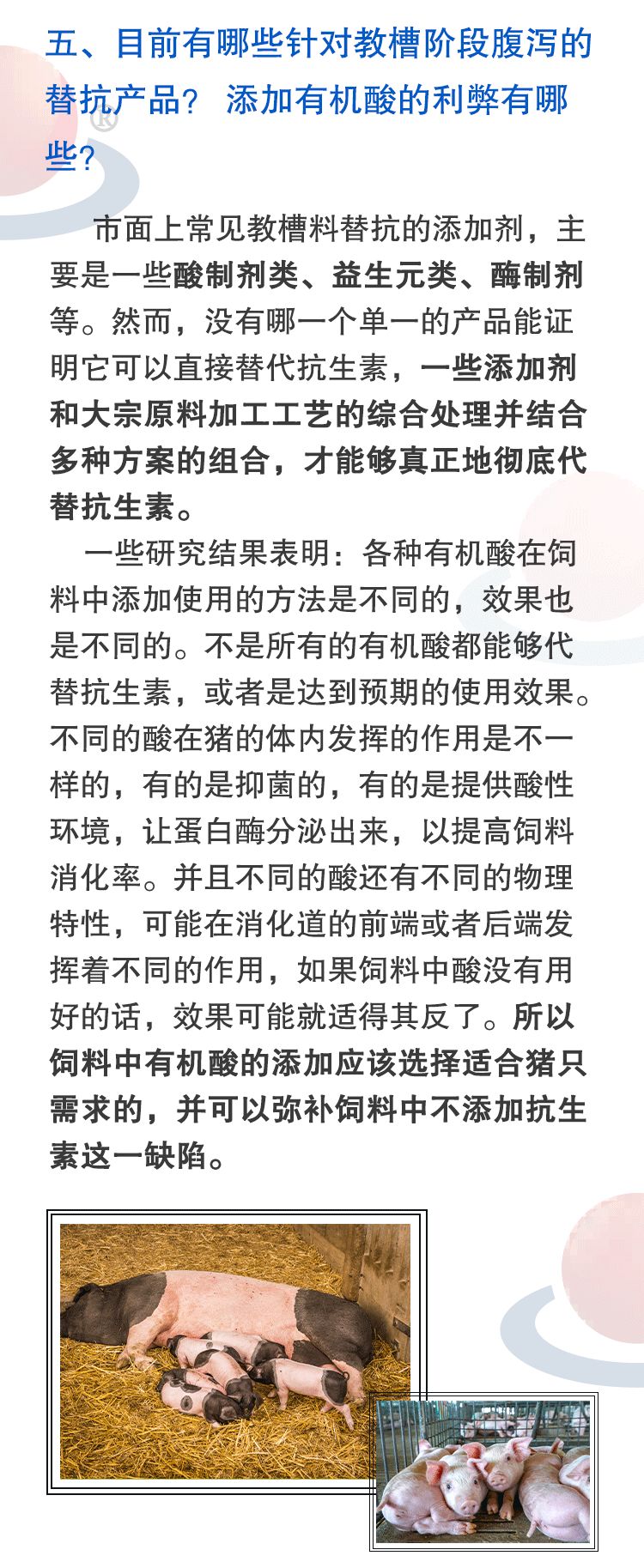 普爱教保料7.jpg