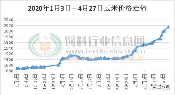 玉米上涨冲云霄，豆粕还在跌、利空传闻再添“堵”！
