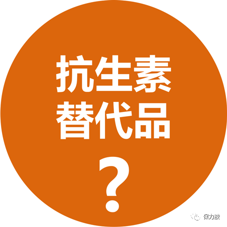 认识抗生素及无抗问题本质