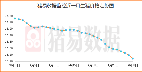批发市场再度“剩货”，肉价砸行毛猪明显