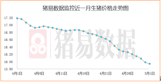 节日效应表现不明显，东北局部猪价现反弹