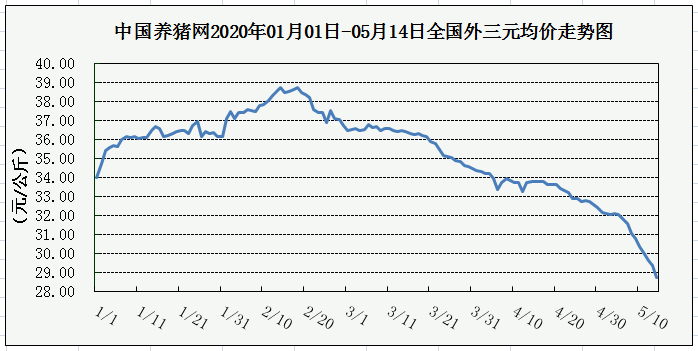 绿了，猪价全面暴跌！行情数月低迷，原因何在？