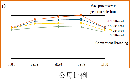 基因组选择技术的经济效益与批次化生产