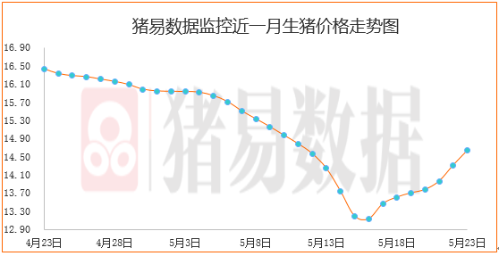 猪价出现见顶现象，警惕短期猪价回落