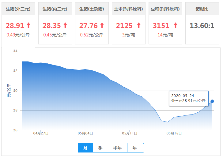 5月24日猪价：27涨2跌2平，涨势依旧强势！