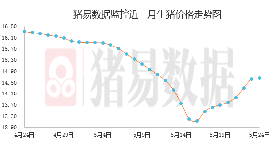 猪价北跌南涨，批发市场再度“剩货”
