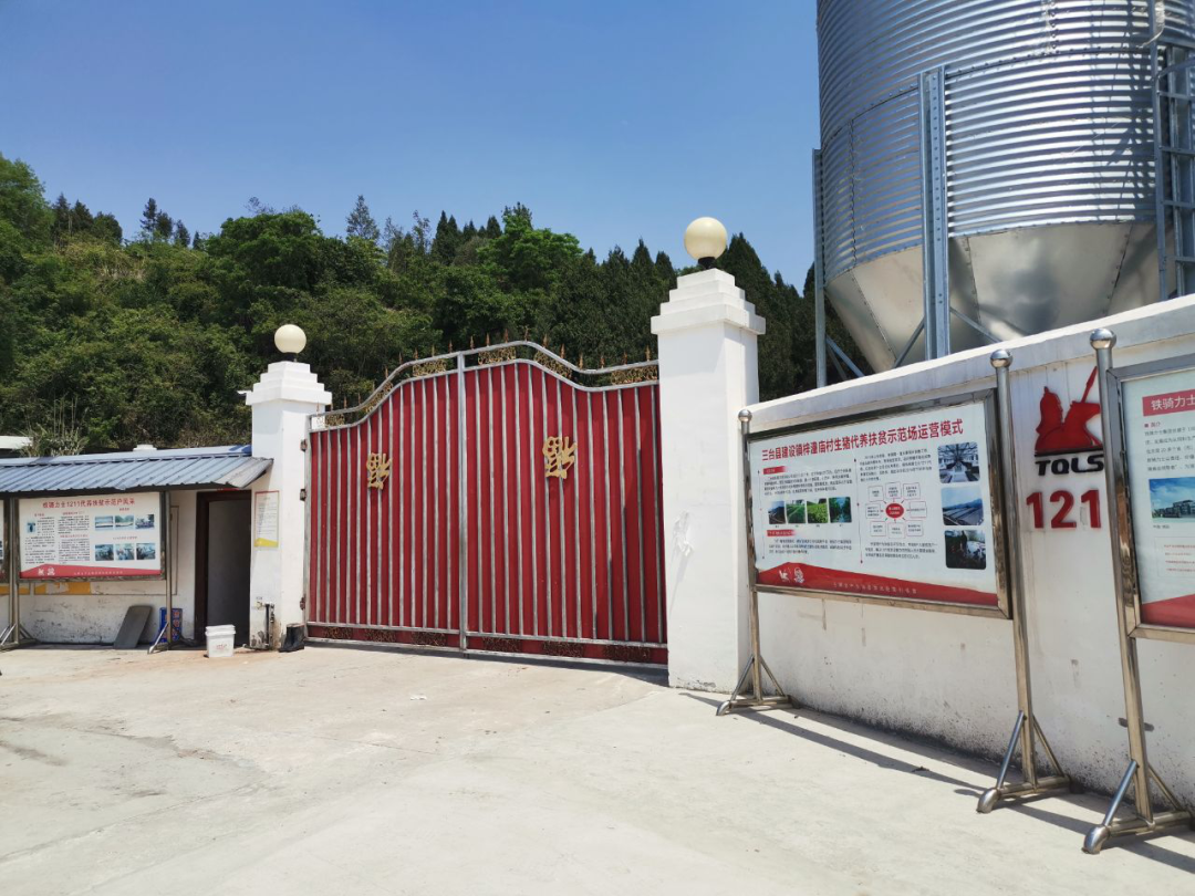 “女猪倌”李海蓉的创业之路