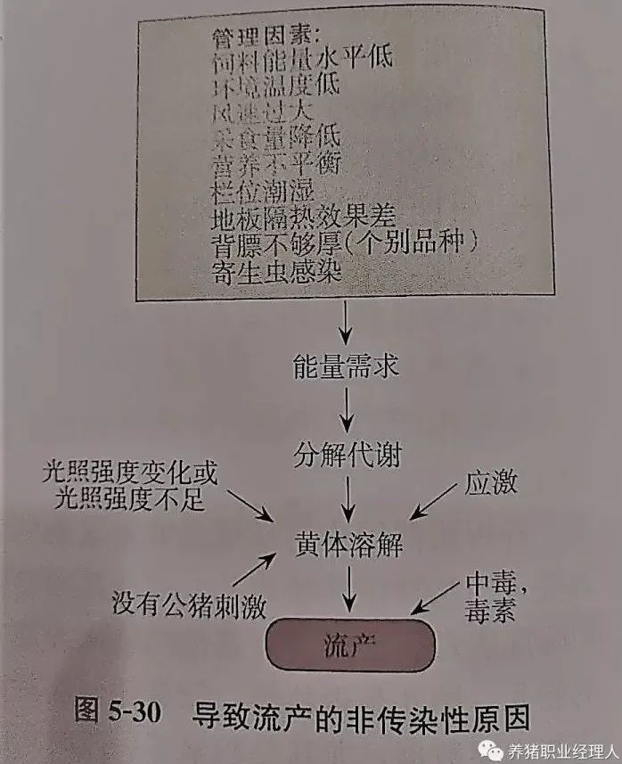 各种类型猪舍的光照指标