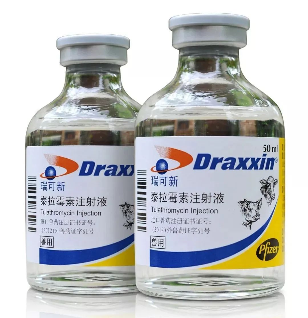 预防和控制细菌性呼吸道疾病、缓解蓝耳病感染，灵活应用“瑞可新”可显著提高仔猪生产性能！