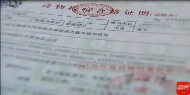 猪价高涨，卖猪水太深？实名举报：不送钱拖着办，钱到位违规也能办！