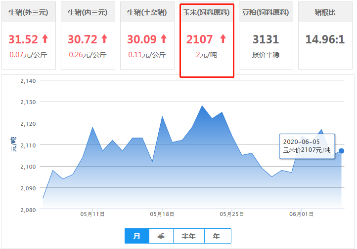 6月5日饲料原料：行情趋稳，玉米拍卖，市场观望！