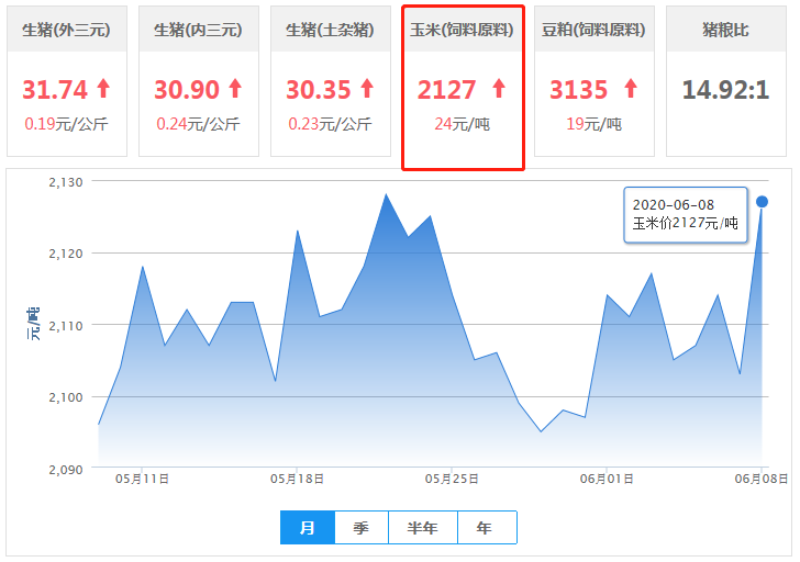 6月8日饲料原料：玉米大涨24元，短期行情利好！