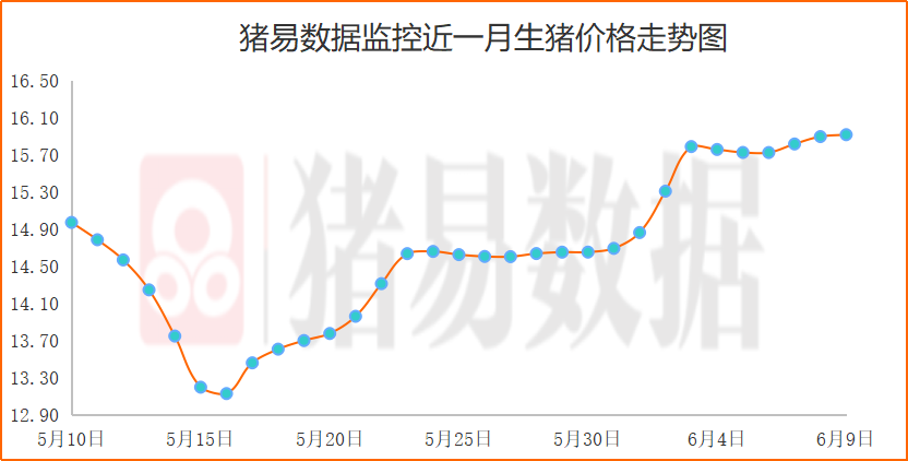 毛猪出现一定僵持态势，冻肉开始抢占批发市场