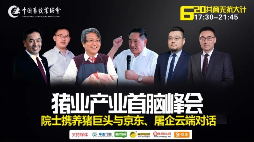 2020猪业产业首脑峰会向您发出邀请，共商无抗养猪大计