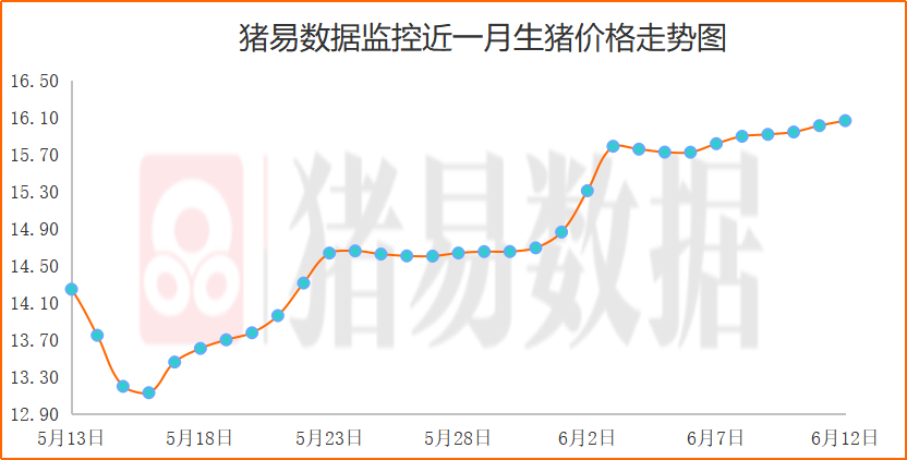 毛猪价格继续缓慢上涨，批发市场量减价涨