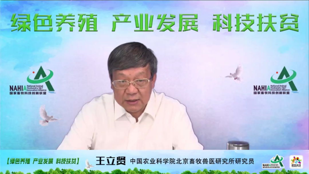 专家之声！王立贤研究员谈生猪复产生产体系和繁育体系的改变