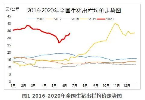 猪价拐点来临 后市猪价恐难走高