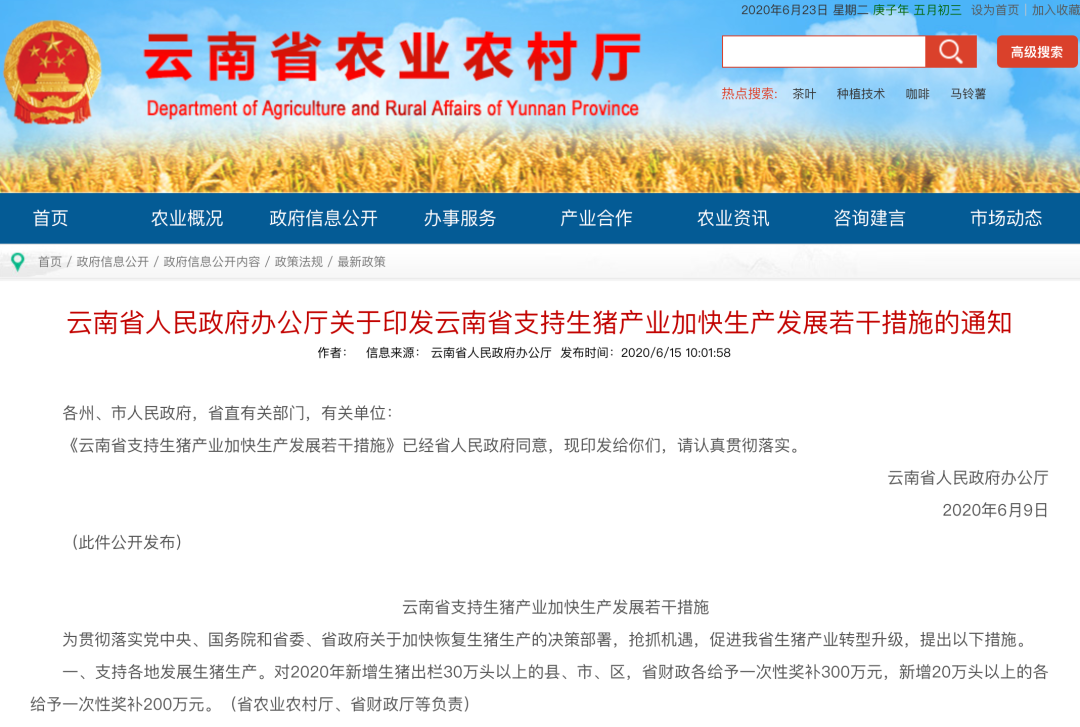 引进省外能繁母猪最高奖逾千元，多地出台新政促生猪复产！