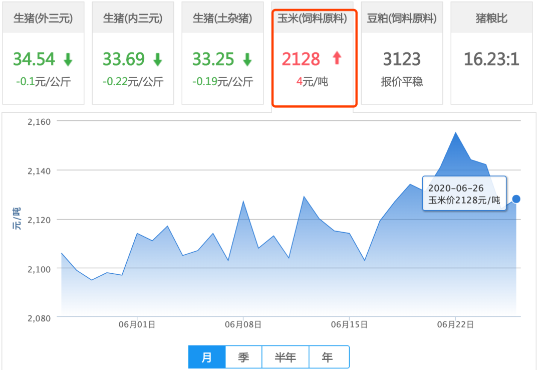 6月26日玉米价格：玉米总体价格或维持上行，未来回调可能性较高！