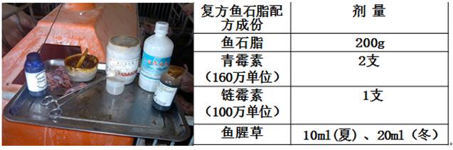 7-10日龄仔猪的阉割 技术操作要点
