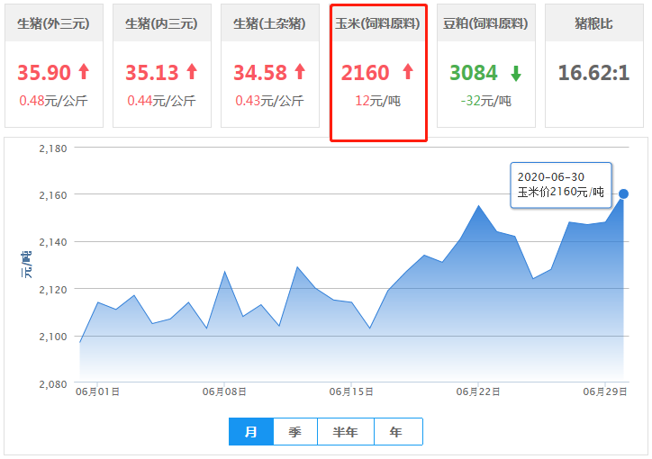 玉米市场进入“政策市”模式，供应端仍看涨后市？