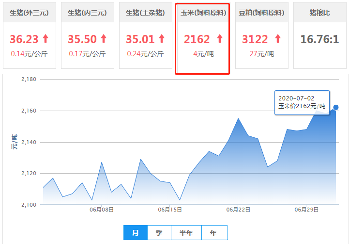 玉米行情维稳局面不变，中旬或将小幅回落？