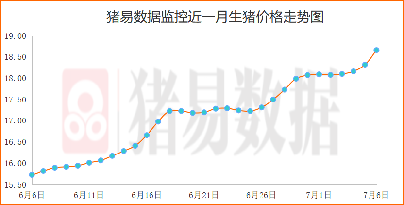 猪价涨幅明显加快，不少区域触及20元