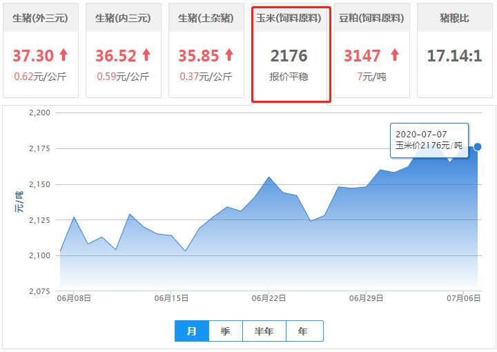 7月7日玉米价格：降雨频繁、库存紧张，或推高玉米行情？