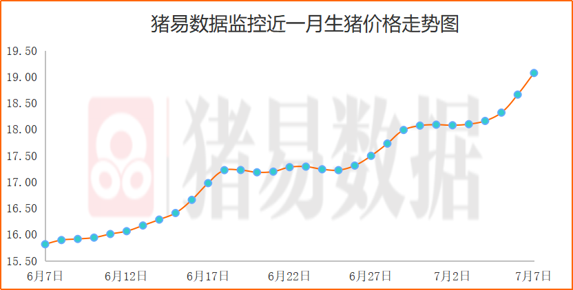 猪价继续快速上涨，华南区域整体上20？