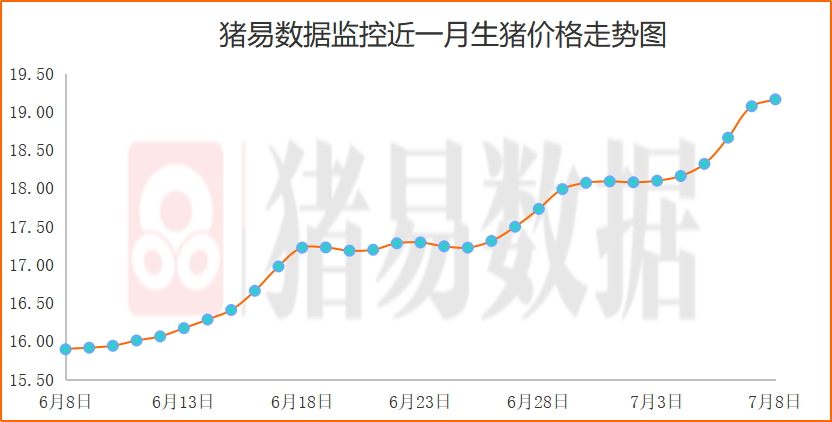 猪价北跌南涨，市场出现一定砸行现象?