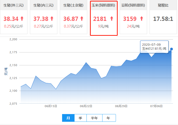 7月9日玉米价格：玉米行情逐步走高，下半年上涨已成定局？