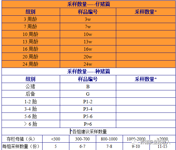 技术控|猪前腔静脉采血规范（附操作视频）