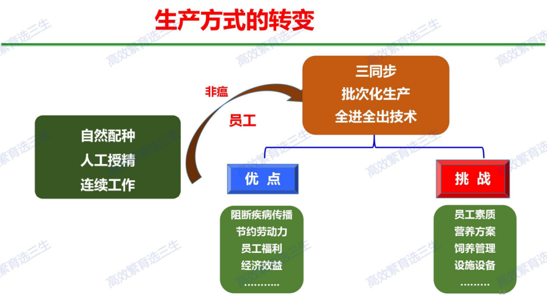 IAHI听课笔记 | 批次化生产下母猪精准营养技术