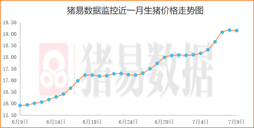 猪价下跌现象有所增多，持续下跌动力不明显