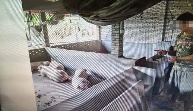 四次到该猪场盗窃15头生猪销赃获利60000余元