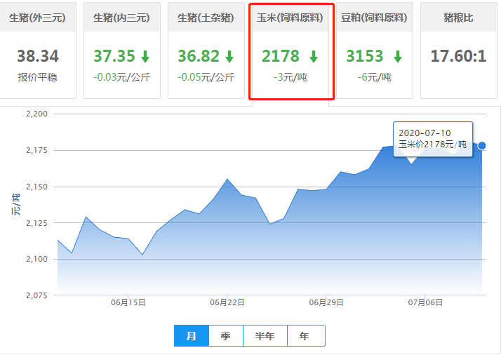 7月10日玉米价格：玉米将“乘风破浪”？业内：上涨动力足！