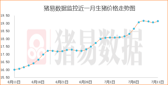 北方地区猪价反弹明显，白条市场表现不一